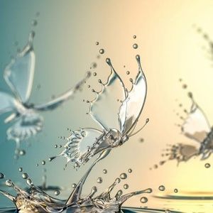 Meet your Posher, Johnny